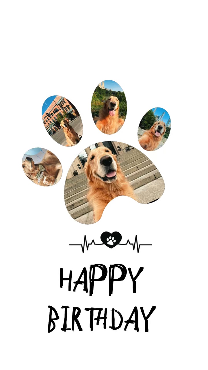 Birthday my dog
