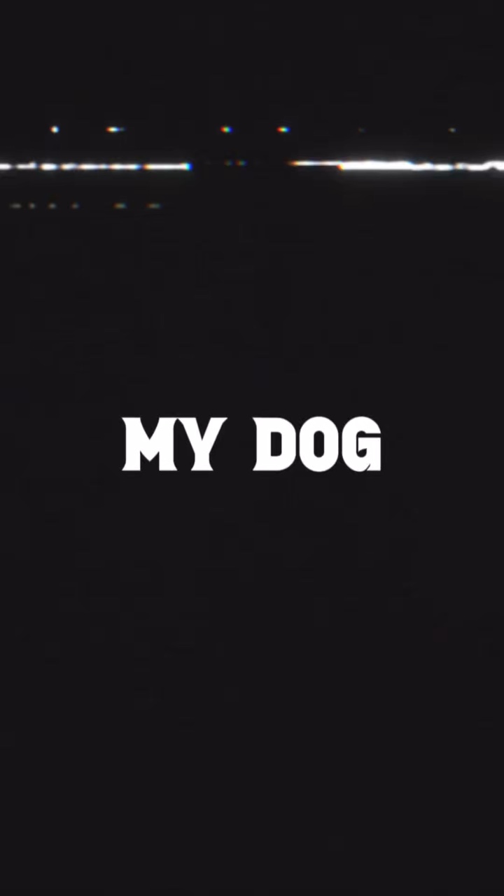 My dog slowmotion 