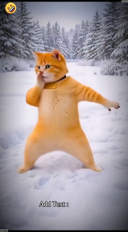 Kucing Lucu