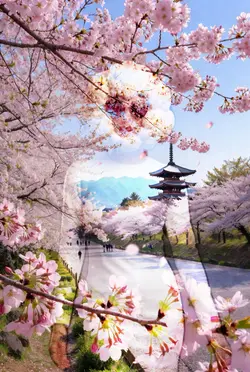 背景写真テンプレート