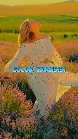 color Transisi 