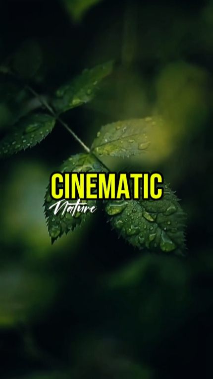 CINEMATIC 