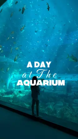 Aquarium