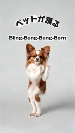 Bling-Bang-Bang-Born