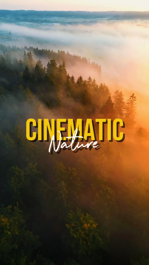 NATURALEZA CINEMÁTICA