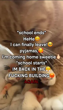 schl starts again :(