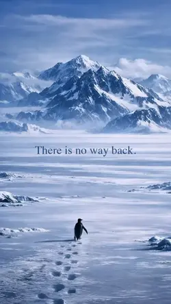 wallpaper