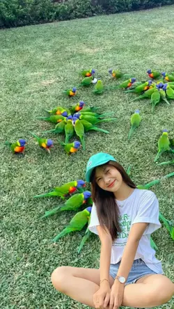 Ngồi Giữa Bầy Chim 