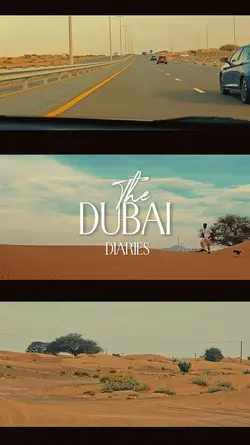 The Dubai diaries 