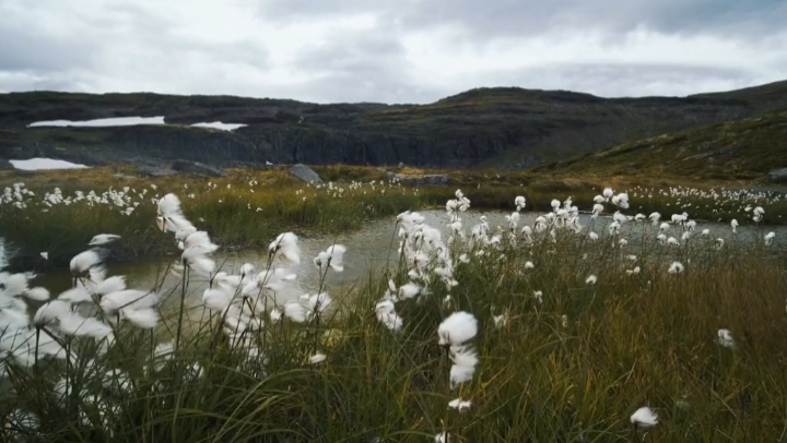 sad