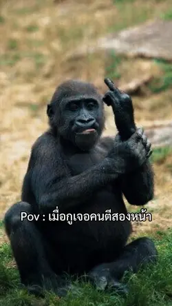 เมื่อเจอคนตอแหล
