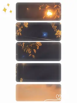 5 Foto White BG