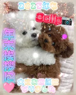 年末挨拶/ありがとう2025