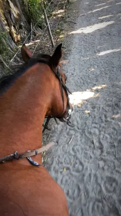 Slowmo jump-up <3