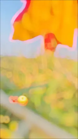 janam dekhlo mit gay