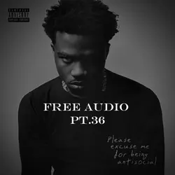 free audio pt.36