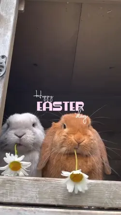 Happy easter day