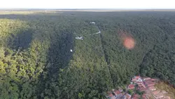 Drone natureza