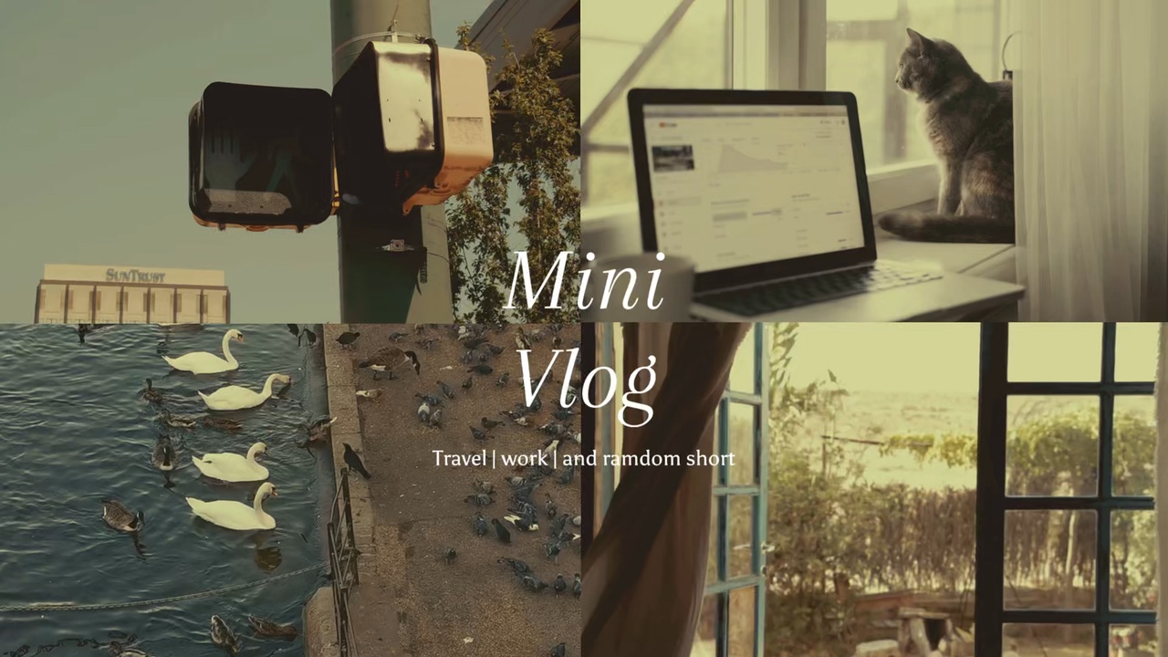 Mini vlog