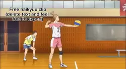 Free haikyu clip