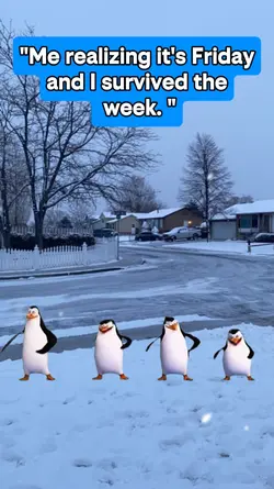 I survived The Week!