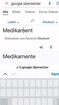 Übersetzer 🫣😱💀