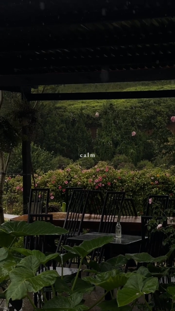 Calma