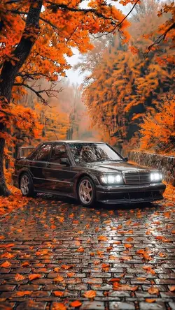 ⚡️⚡️BENZ⚡️⚡️