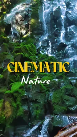 Cinematic Nature