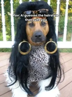 dog hairstylist funn