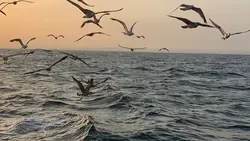 [12] ảnh nhẹ nhàng 