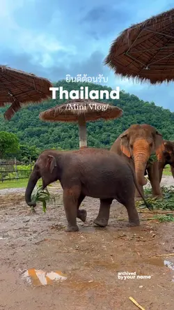 Thailand Vlog Travel