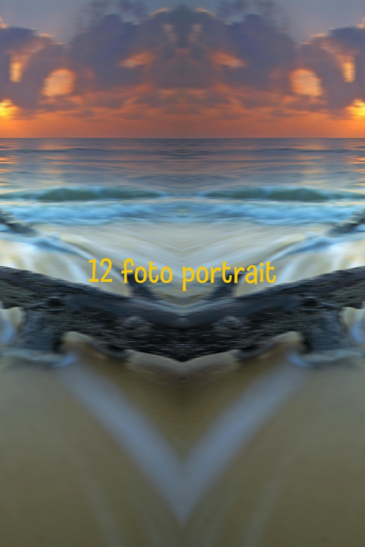 12 Foto-Porträt

