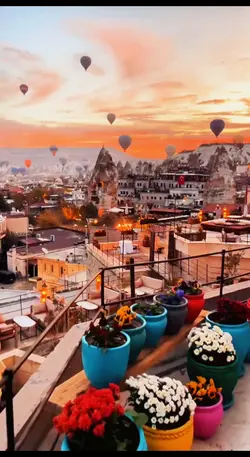 Travel Videos