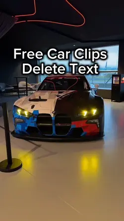 CAR CLIPS