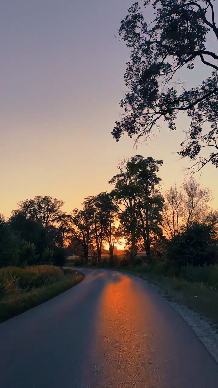 Sunset driving