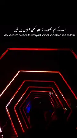 Trending Shayari❤️🩹