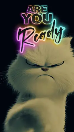 are you ready