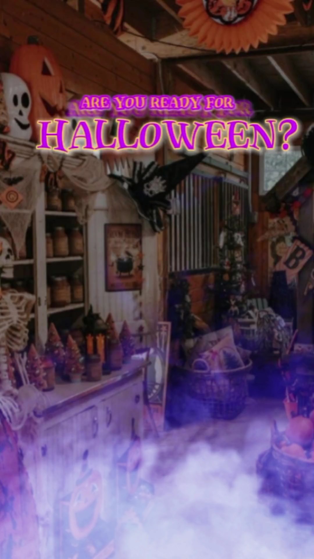 Halloween, prêt? 