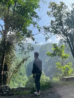 Mesti doamu yg harap