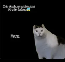 NEĞĞ