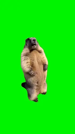 Ahhhhh!!!! 