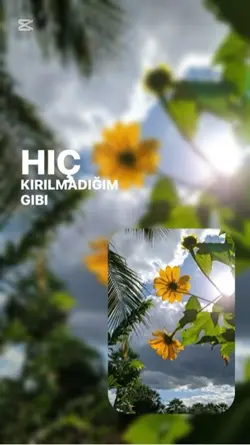Gökyüzünü tutamam