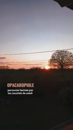 Opacarophile
