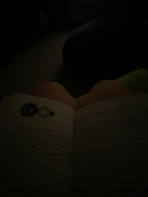 Cover Picture