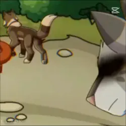 warrior cats
