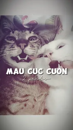 2 ẢNH GIẬT GIẬT CHÁY
