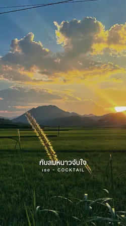 หยดน้ำค้างในยามเช้า 🫧🍃