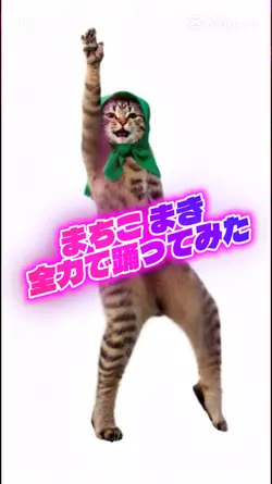 全力で踊る猫