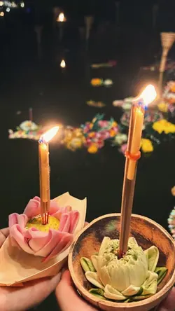 5รูป/5วิดีโอ